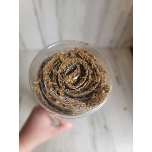 Lemax 18x39" Moss mat village accessory Xmas grass - Picture 8 of 8